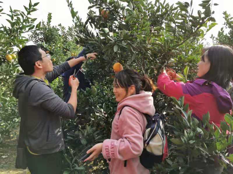 William威廉官网